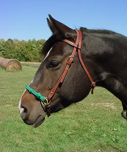 NOSEBAND WITH PARACORD FOR YOUR HORSE