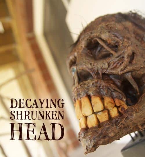 70. DECAYING SHRUNKEN HEAD