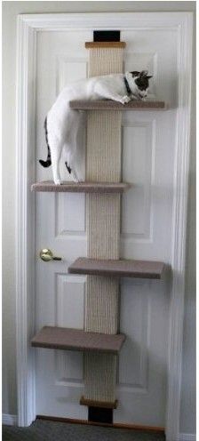 12. EPIC DIY SMART CAT DOOR CLIMBER