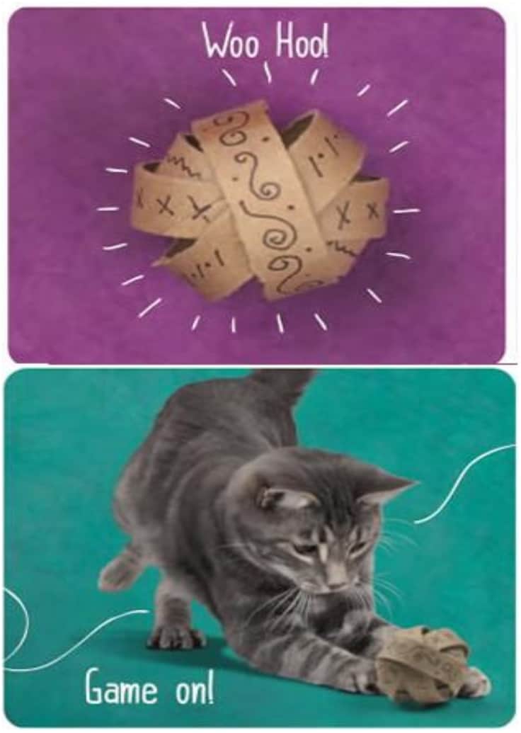 44. DIY SPHERE CAT TOY MADE OUT OF TOILET PAPER CARDBOARD