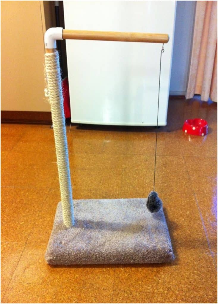 47 Brilliant Easy Homemade DIY Cat Toys For Your Cats