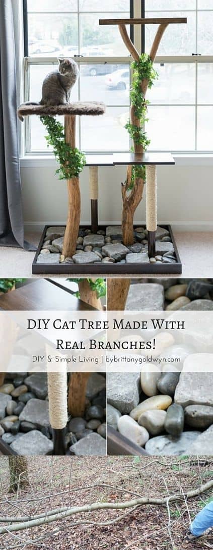 6. DIY CAT TREE MADE WITH REAL BRANCHES FEATURING GREENERY