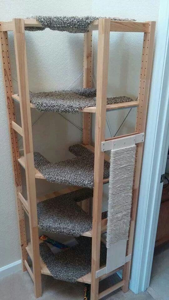 4.TRANSFORM A WOODEN SHELVE INTO A DIY CAT PALACE