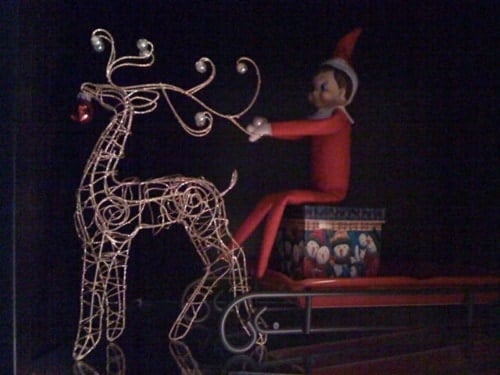 104. Elfie and his Reindeer Sled