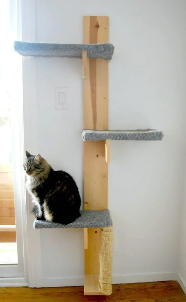  SILLY PEARL PRESENTS EPIC DIY CAT TREE 