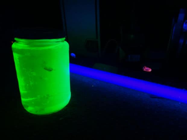 28. Learn How to Make a Glowing Black Light Night Light