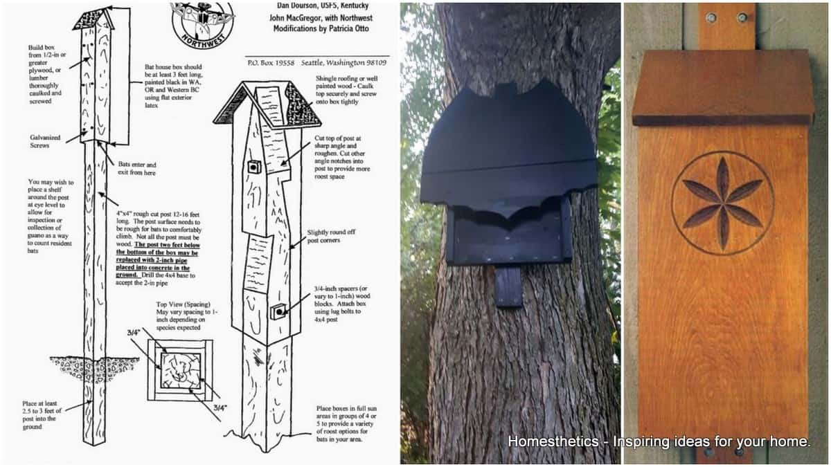 FREE DIY Bat House Plans to Shelter the Natural Pest Control