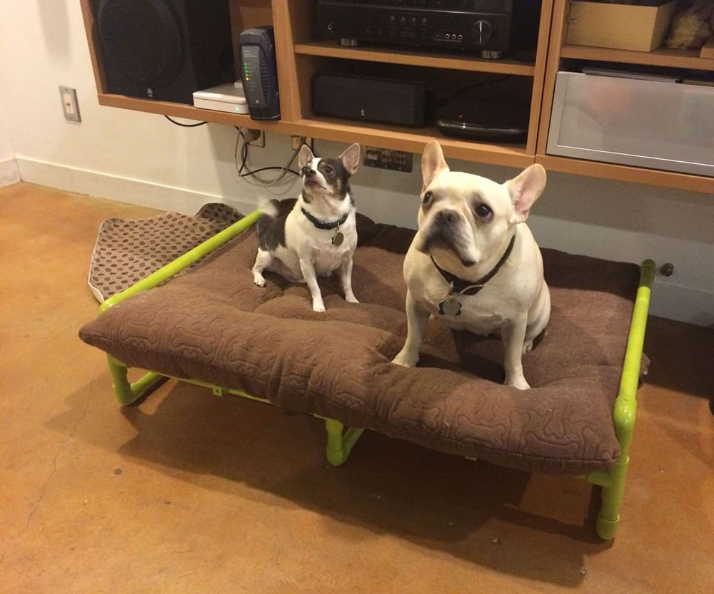 DIY Elevated Dog Bed PVC Images