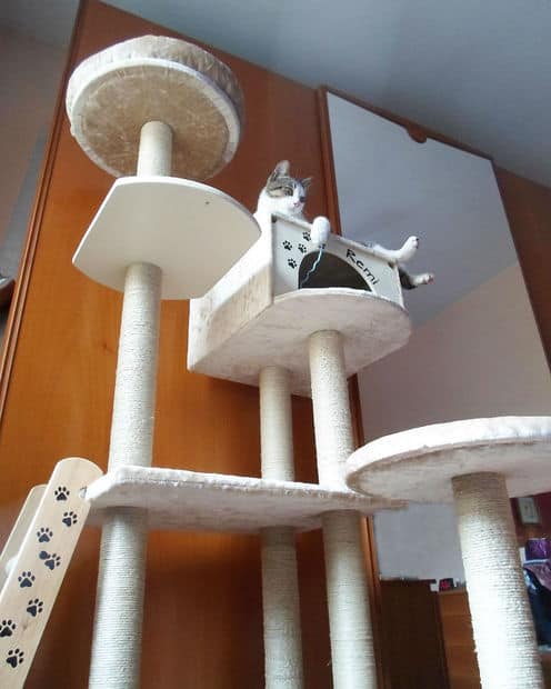 BRILLIANT DIY CAT TREE ON INSTRUCTABLES