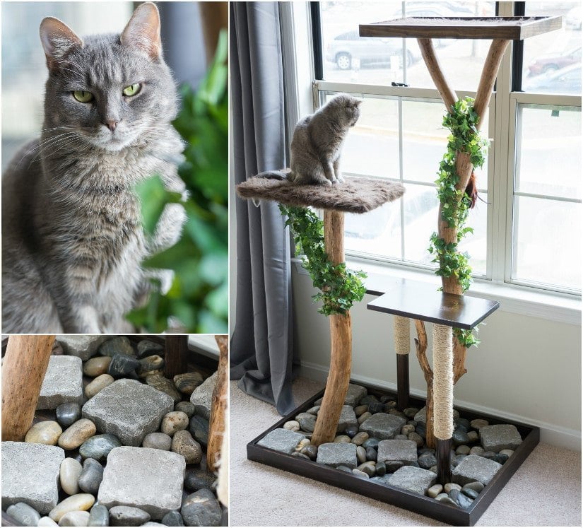 REAL ORGANIC DIY CAT TREE ON BYBRITTANYGOLDWYN.COM 