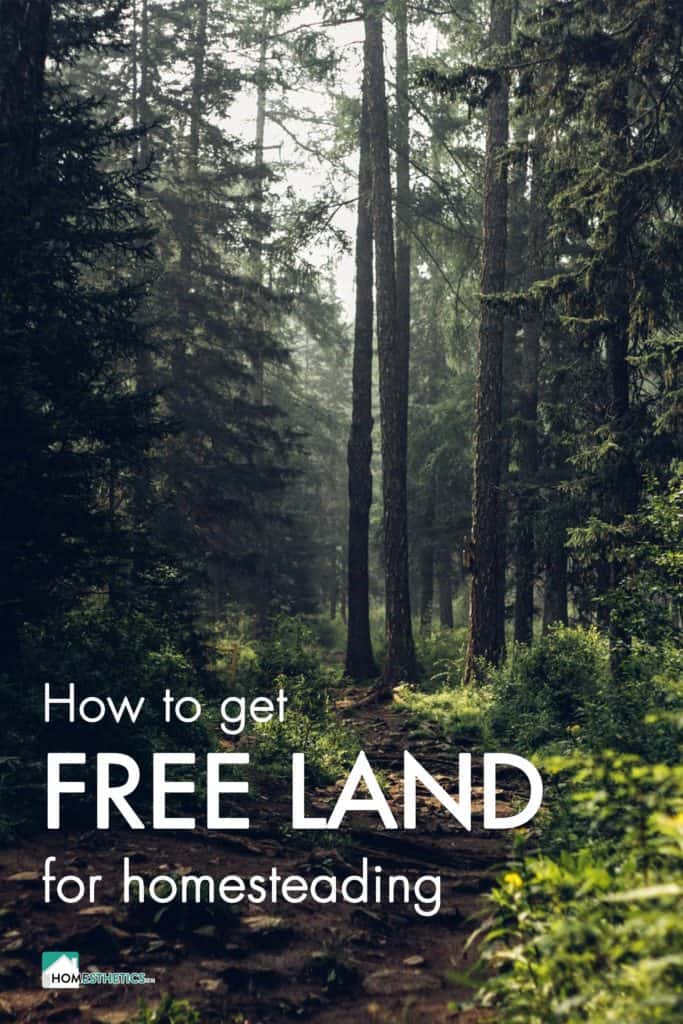 17 US Places Where You Can Find Free Land for Homesteading Today