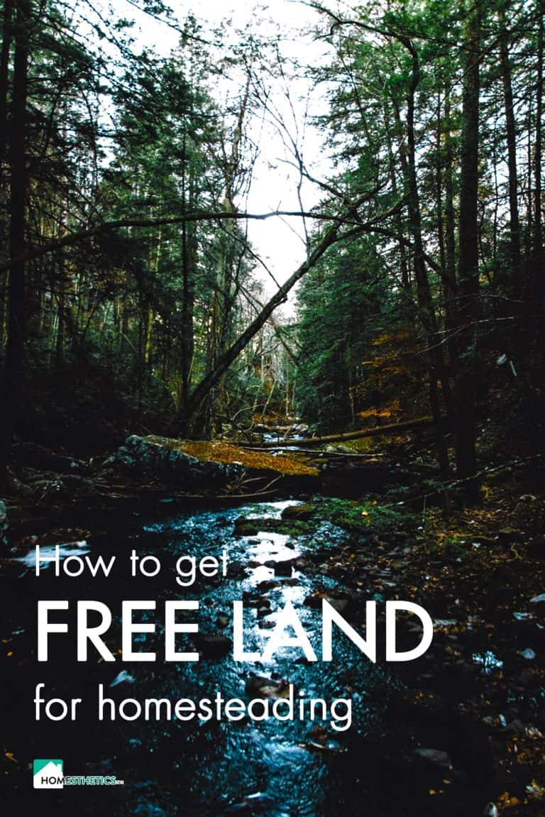 17 US Places Where You Can Find Free Land For Homesteading Today