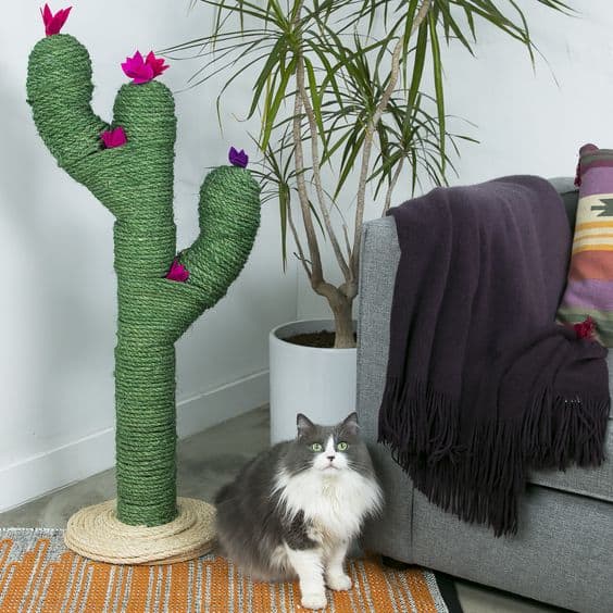 ADORABLE CACTUS POST IS A KIND OF CACTUS TREE