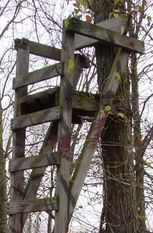 21. BASIC LADDER STAND