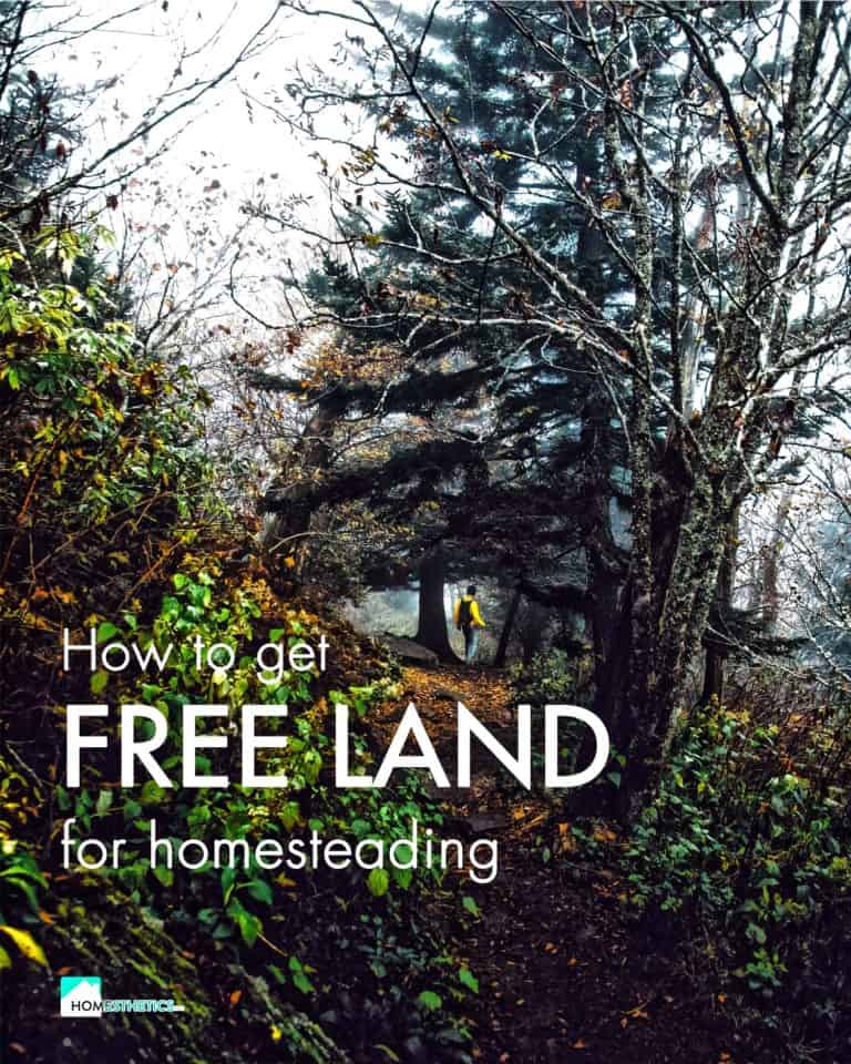 17 US Places Where You Can Find Free Land For Homesteading Today