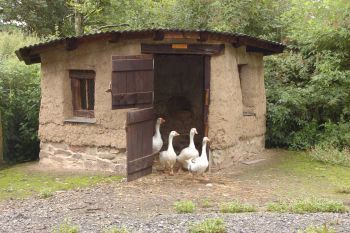 THE COB-STYLE DUCK HOUSE
