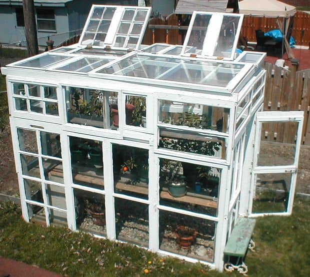  BUILD A DIY GREENHOUSE USING UPCYCLED WINDOWS