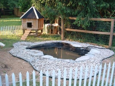 THE POOLSIDE DUCK HOUSE