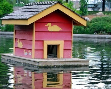  THE FLOATING DUCK HOUSE