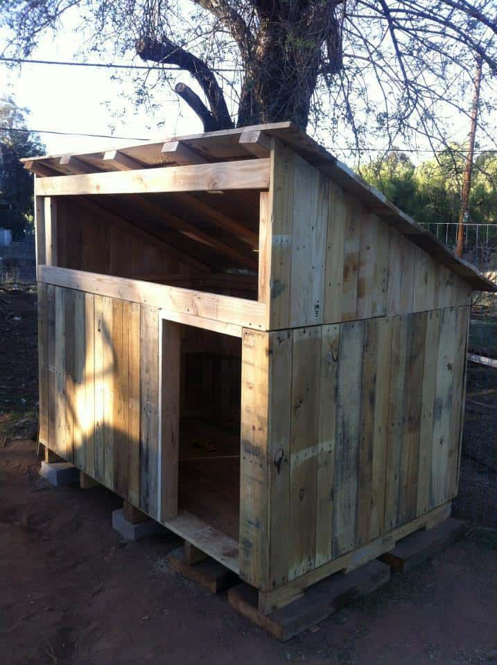 THE RUSTIC PALLET COOP