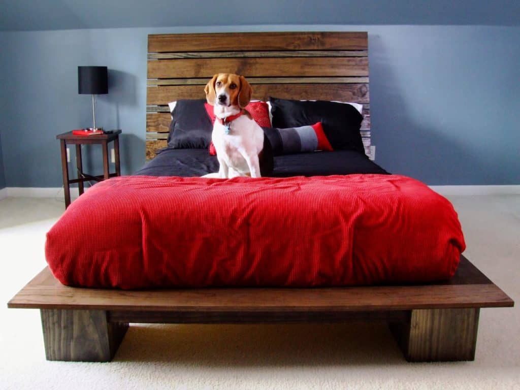 MODERN STYLE PLATFORM BED WITH HEADBOARD