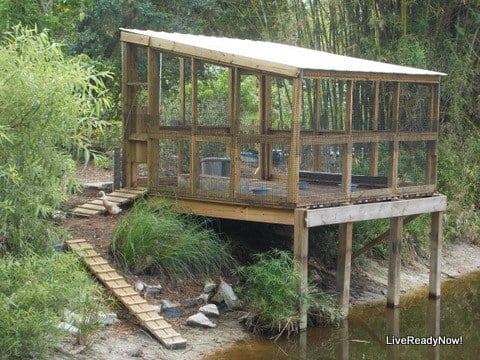 THE LAKE HOUSE FOR DUCKS