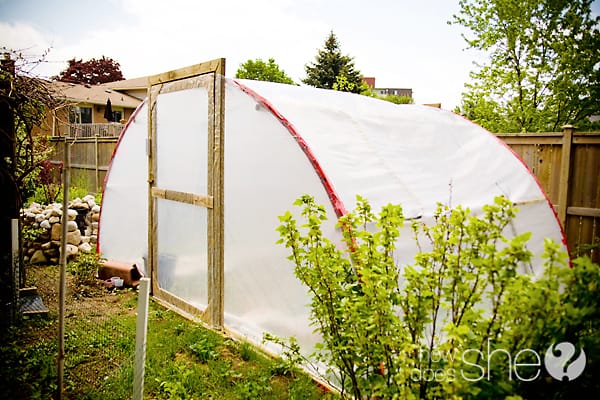 LEARN HOW TO MAKE A DIY GREENHOUSE USING A TRAMPOLINE
