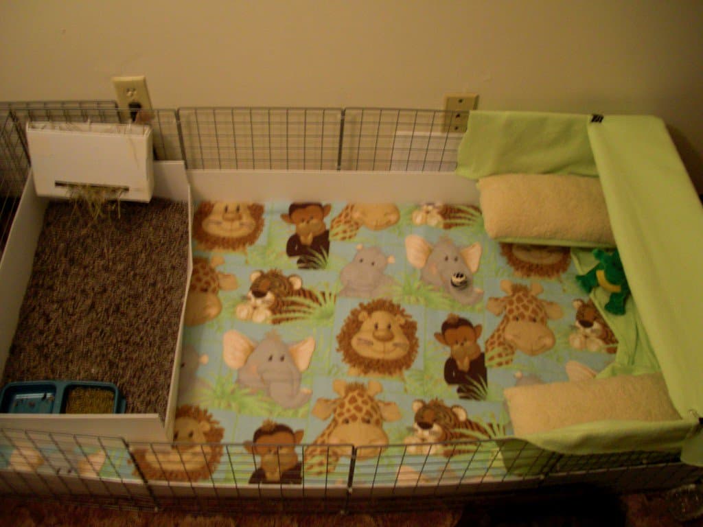 23 Epic Homemade DIY Guinea Pig Cage Designs To Build