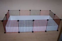 C&C CAGE FROM GUINEA PIG CAGES