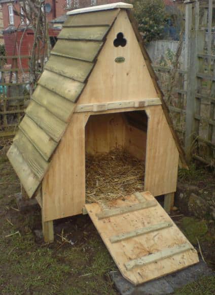 THE DESIGNER A-FRAME COOP