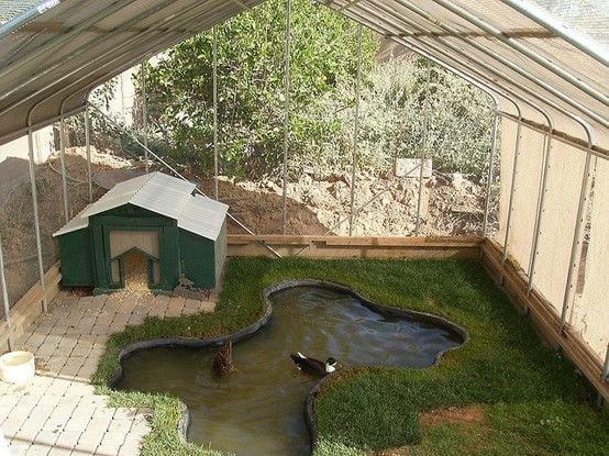 THE CARPORT DUCK COOP