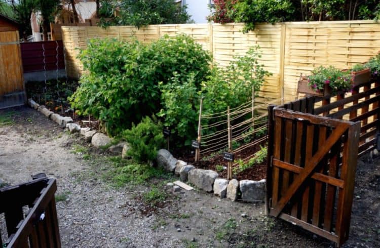 PALLET FENCE IDEA FOR A SMALL GARDEN