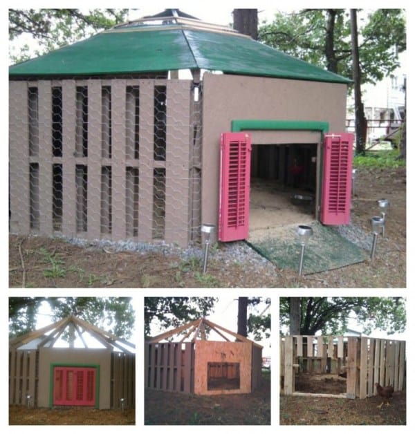 THE ECONOMICAL DUCK AND CHICKEN COOP