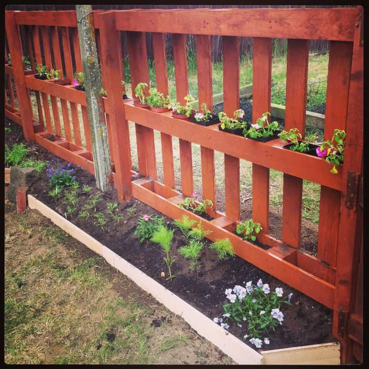 PALLET FENCE DECKED UP IN HERBS AND FLOWERS