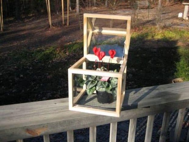  EASY TO MAKE COUNTERTOP GREENHOUSE