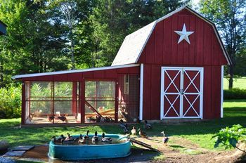 THE BARN COOP AND RUN