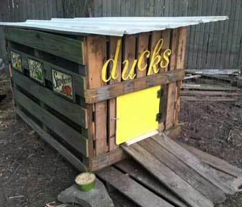  THE SIMPLE PALLET BIRD COOP