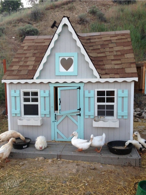  THE PLAYHOUSE DUCK HOUSE