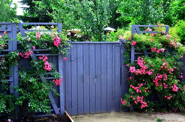 BLUE PALLET FENCE