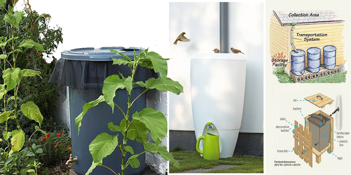 37 Awesome DIY Rainwater Harvesting Systems You Can Actually Build