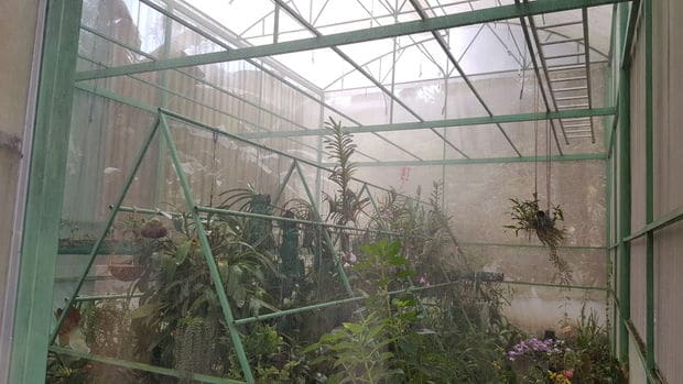 A HIGHLY DETAILED DIY GREENHOUSE PROJECT