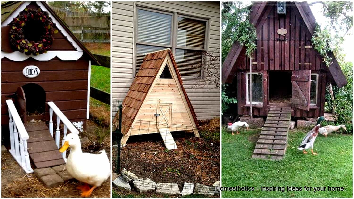 DIY Duck Houses Plans and Duck Coop Plans to Build Now