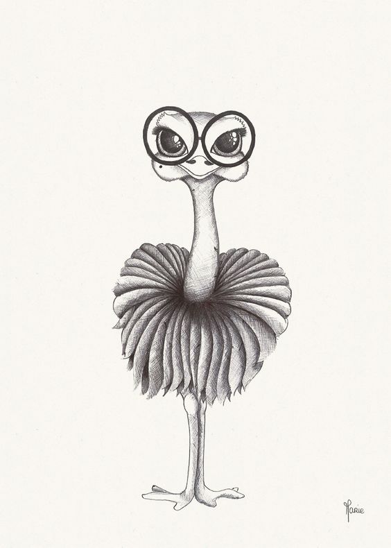 16. THE KNOWLEDGEABLE LADY OSTRICH