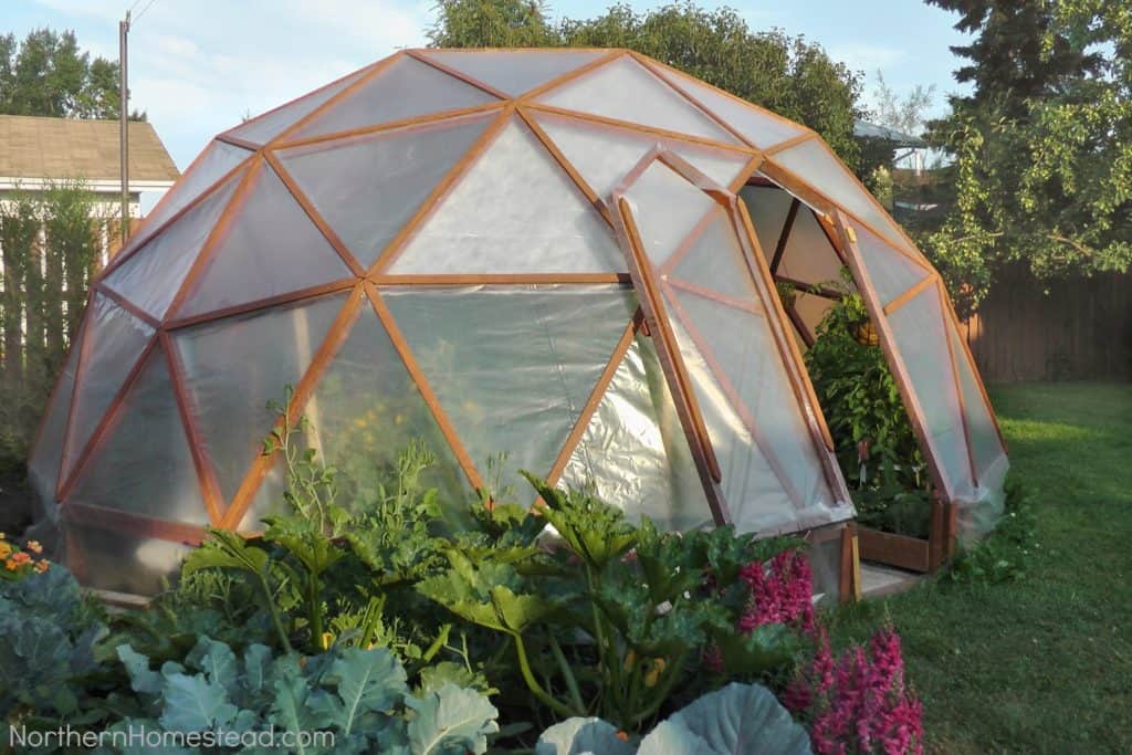 CREATE THIS INCREDIBLY COOL GEO DOME GREENHOUSE FOR YOUR BACKYARD