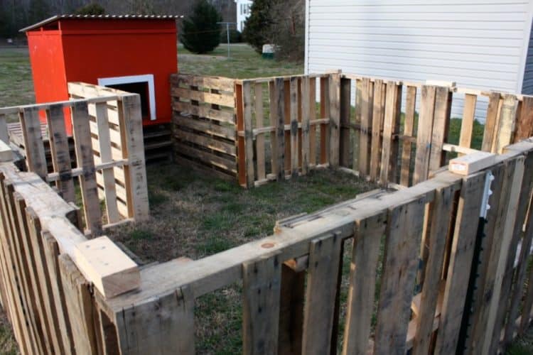DIY PALLET FENCE FOR YOUR POULTRY