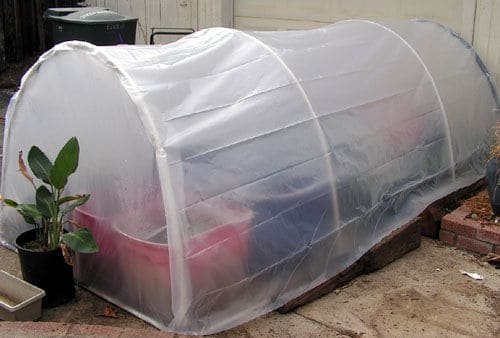 CREATE A MEDIUM-SIZED GREENHOUSE FOR LESS THAN $ 25