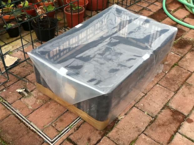 MAKE AN INEXPENSIVE GREENHOUSE WITH A PLASTIC FRUIT BASKET