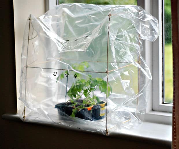 LEARN HOW TO BUILD THIS TINY WINDOWSILL GREENHOUSE USING UPCYCLED MATERIALS