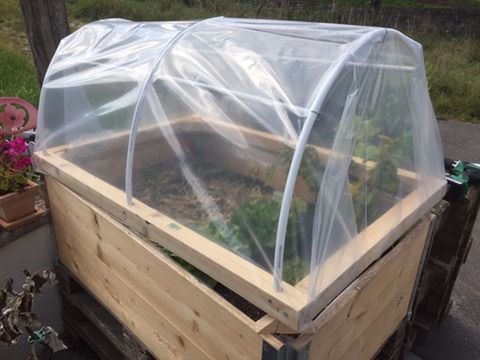 BUILD A SMALL GREENHOUSE FOR PLANTATIONS ON EURO PALLETS