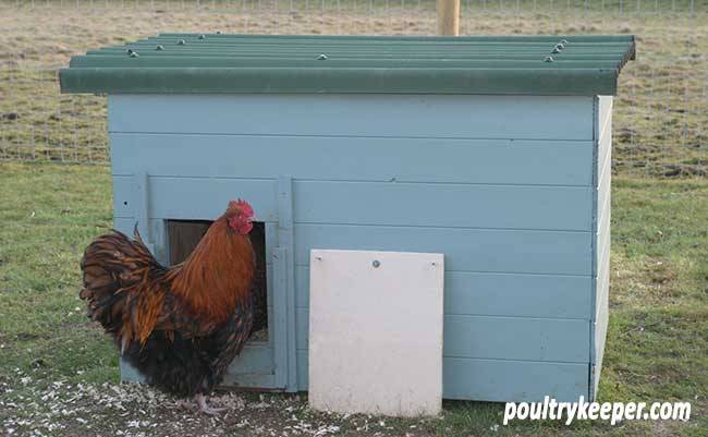 THE WOODEN CRATE DUCK HOUSE